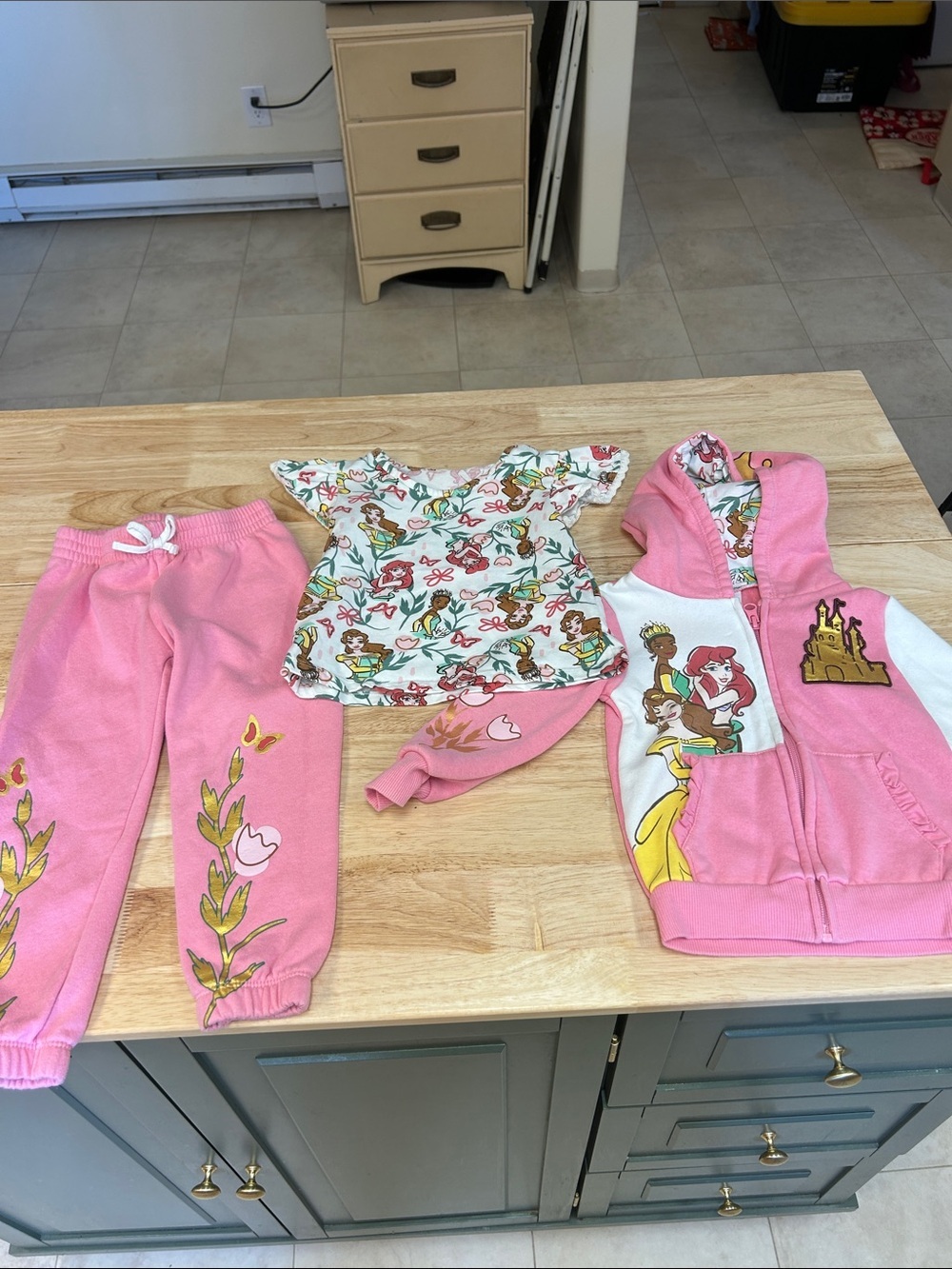 Disney Pink Princess Hoodie & Floral Tee Matching Set
